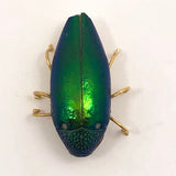 Real Scarab Beetle Vintage Pin
