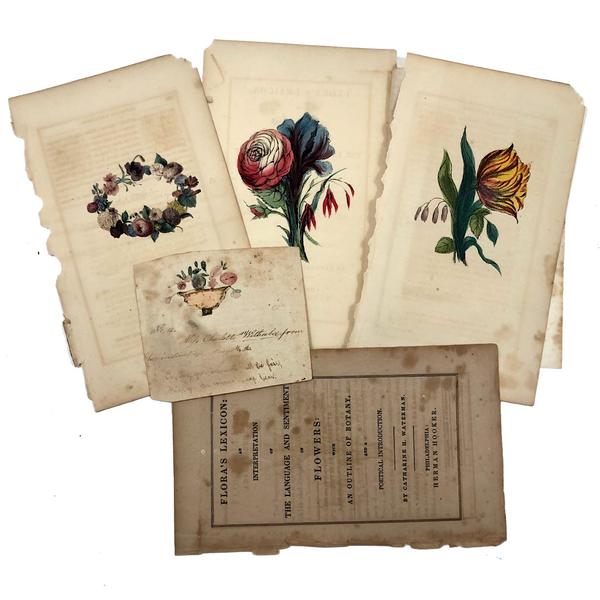 Small Fraktur Watercolor and Hand-colored Engravings c. 1840s