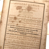 Small Fraktur Watercolor and Hand-colored Engravings c. 1840s