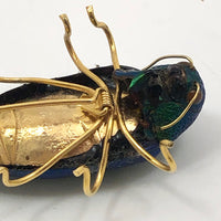Real Scarab Beetle Vintage Pin