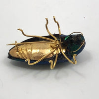 Real Scarab Beetle Vintage Pin