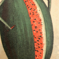 Parker and Wood Seeds and Tools Victorian Watermelon Man Trade Card