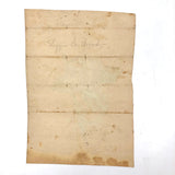 19th Century Single Pink Rose Watercolor