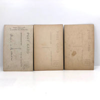 Plant Samples - Peas and Beans, Real Photo Postcards, Early 20th C., Boston - Set 1