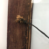 Sweet Old Wooden Frame with Rounded Corners and Dark Red Stain