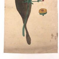 19th Century Nicely Awkward Botanical Watercolor