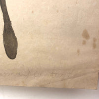 19th Century Nicely Awkward Botanical Watercolor