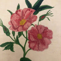 Pink Roses Antique Watercolor #2