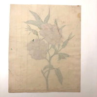 Pink Roses Antique Watercolor #2