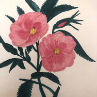 Pink Roses Antique Watercolor #1