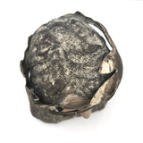 Young Caeser (?) Painted Plaster Bust with Metal Laurel Crown