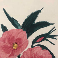 Pink Roses Antique Watercolor #1