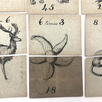 Fantastic British Hand-Drawn Pen and Ink Animal Multiplication Cards on Halved Raffle Tickets
