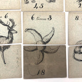 Fantastic British Hand-Drawn Pen and Ink Animal Multiplication Cards on Halved Raffle Tickets