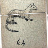Fantastic British Hand-Drawn Pen and Ink Animal Multiplication Cards on Halved Raffle Tickets
