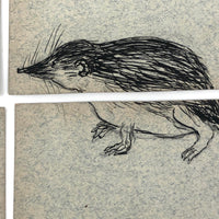 Fantastic British Hand-Drawn Pen and Ink Animal Multiplication Cards on Halved Raffle Tickets