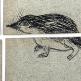 Fantastic British Hand-Drawn Pen and Ink Animal Multiplication Cards on Halved Raffle Tickets