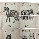 Fantastic British Hand-Drawn Pen and Ink Animal Multiplication Cards on Halved Raffle Tickets
