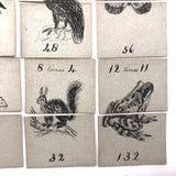 Fantastic British Hand-Drawn Pen and Ink Animal Multiplication Cards on Halved Raffle Tickets