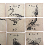 Fantastic British Hand-Drawn Pen and Ink Animal Multiplication Cards on Halved Raffle Tickets