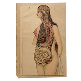 Swartzenberg Early 20th c. Dutch Female Anatomical Booklet
