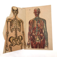 Swartzenberg Early 20th c. Dutch Female Anatomical Booklet