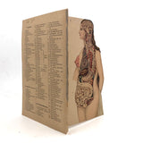 Swartzenberg Early 20th c. Dutch Female Anatomical Booklet