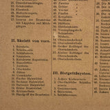 Swartzenberg Early 20th c. Dutch Female Anatomical Booklet