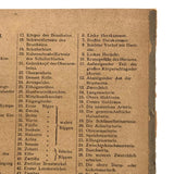 Swartzenberg Early 20th c. Dutch Female Anatomical Booklet