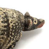 Fabulous Old Mexican Clay Hand-painted Bobble Head Armadillo