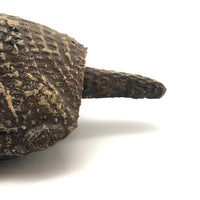 Fabulous Old Mexican Clay Hand-painted Bobble Head Armadillo