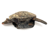 Fabulous Old Mexican Clay Hand-painted Bobble Head Armadillo