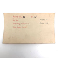 Set of 21 Graphite Drawings of Hand Guns on Card Catalog Index Cards