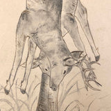 C. 1900 Ink, Inkwash, Pencil Drawing of Two Hunted Deer