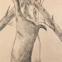 C. 1900 Ink, Inkwash, Pencil Drawing of Two Hunted Deer