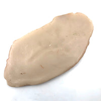 HUGE c. 1940s-50s Wax Steak