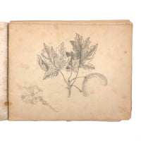 Mary Elizabeth Greene's 1846-1889 Sketchbook