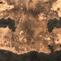 Eroded Eagle Silhouette on Bentwood Panel