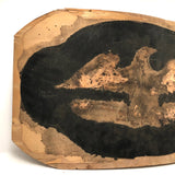 Eroded Eagle Silhouette on Bentwood Panel