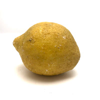 Extra Large Old Stone Fruit Lemon!
