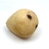 Excellent Early Stone Fruit Pear