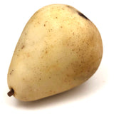 Excellent Early Stone Fruit Pear