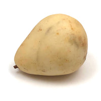 Excellent Early Stone Fruit Pear