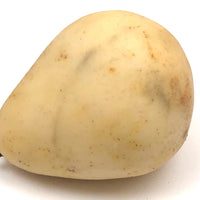 Excellent Early Stone Fruit Pear