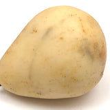 Excellent Early Stone Fruit Pear
