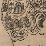 1872 Samuel R. Wells Phrenology Handbook with Illustrations