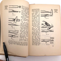 Artistic Crafts Series: Writing & Illuminating & Lettering, Edward Johnston, First Edition