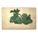 Hand-Painted Watercolor Postcard Of Grapes (or Olives?)