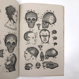 1872 Samuel R. Wells Phrenology Handbook with Illustrations