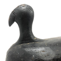 Stark Black Working Decoy with Marvelously Hooked Old Beak Repair